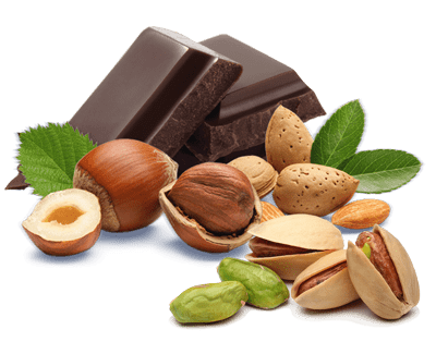 Composizione di frutta secca Gelateria la Sirenetta