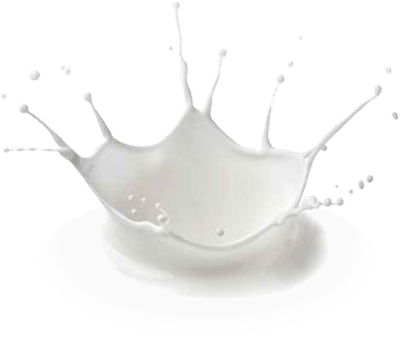 Latte fresco - Gelateria la Sirenetta